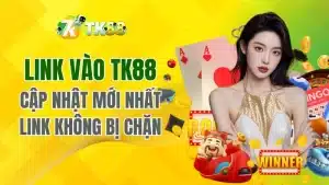 Link vào Tk88