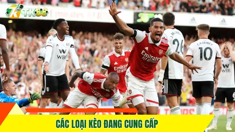 Các loại kèo đang cung cấp