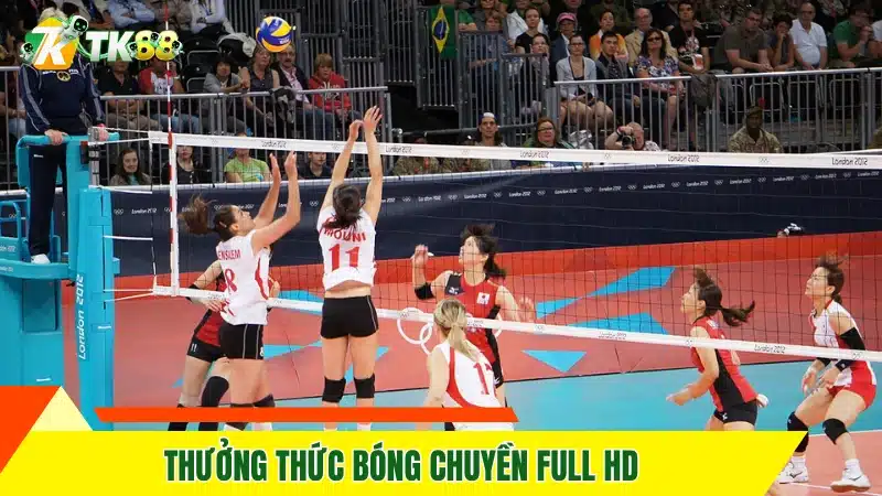 Thưởng thức bóng chuyền Full HD