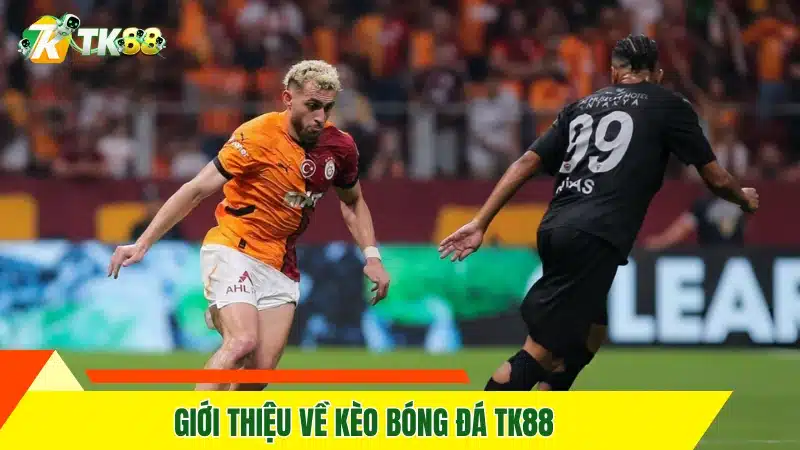 Giới thiệu về kèo bóng đá TK88