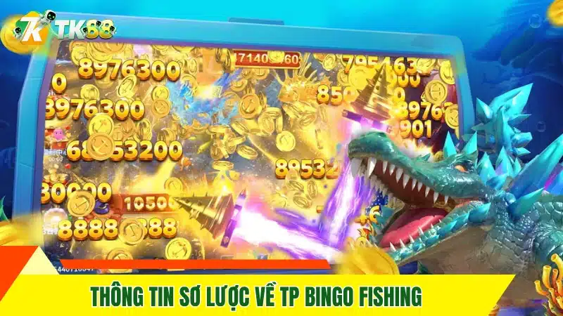 Thông tin sơ lược về TP Bingo Fishing