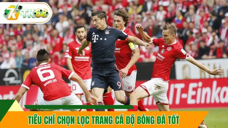 Tham khảo tiêu chí chọn lọc trang cá độ bóng đá tốt